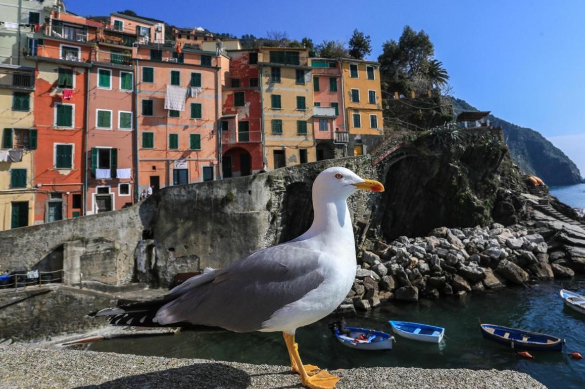 Terra Prime Suite Riomaggiore Exteriér fotografie
